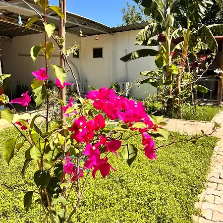 Adrasan Parlak Apart 4* Adrasan