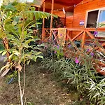 Aparthotel Parlak Evleri 4*